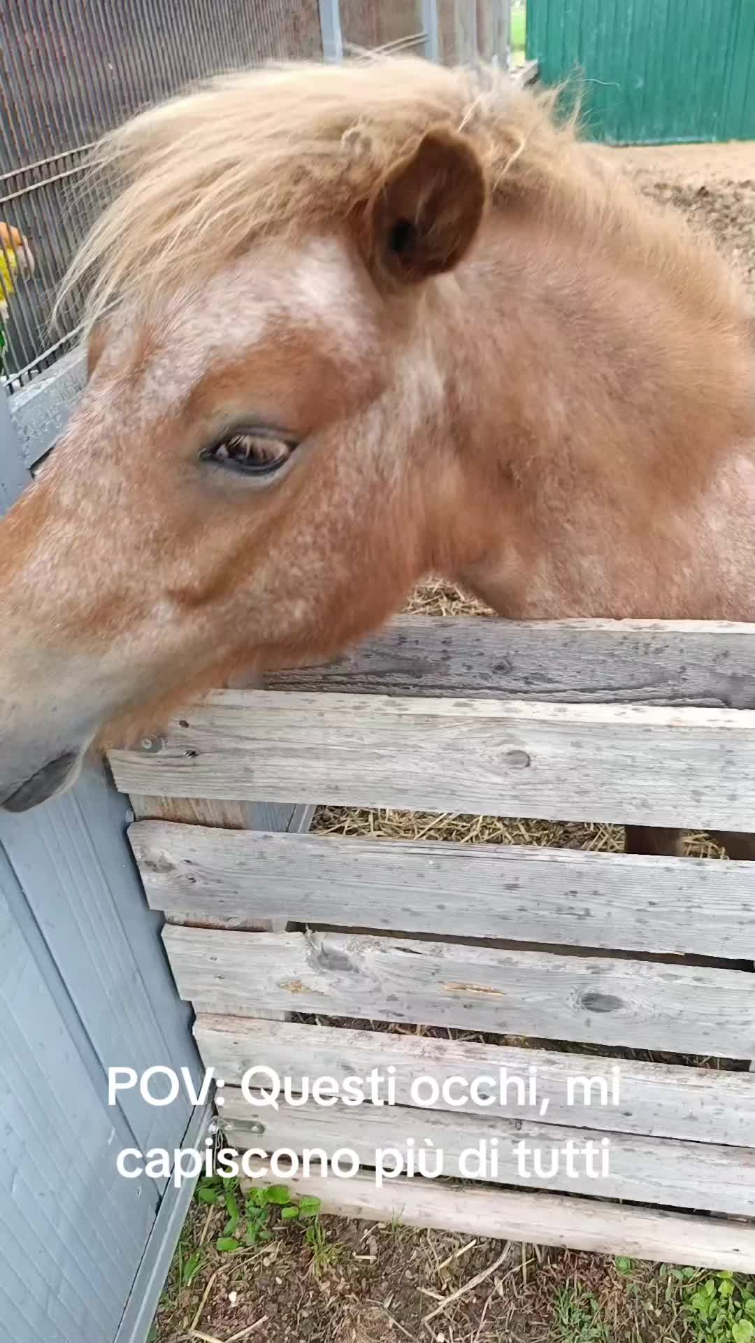 @🥰 sara 🥰