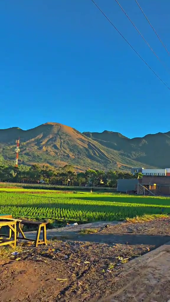 @asligarut___