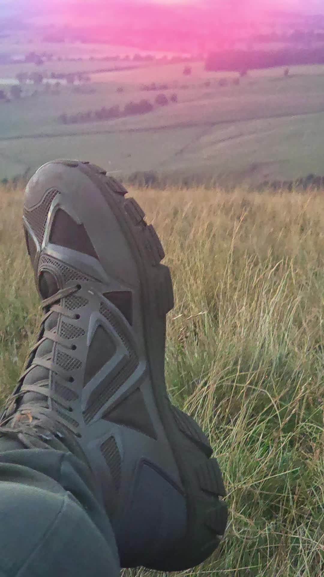 @Northern Wayfarer