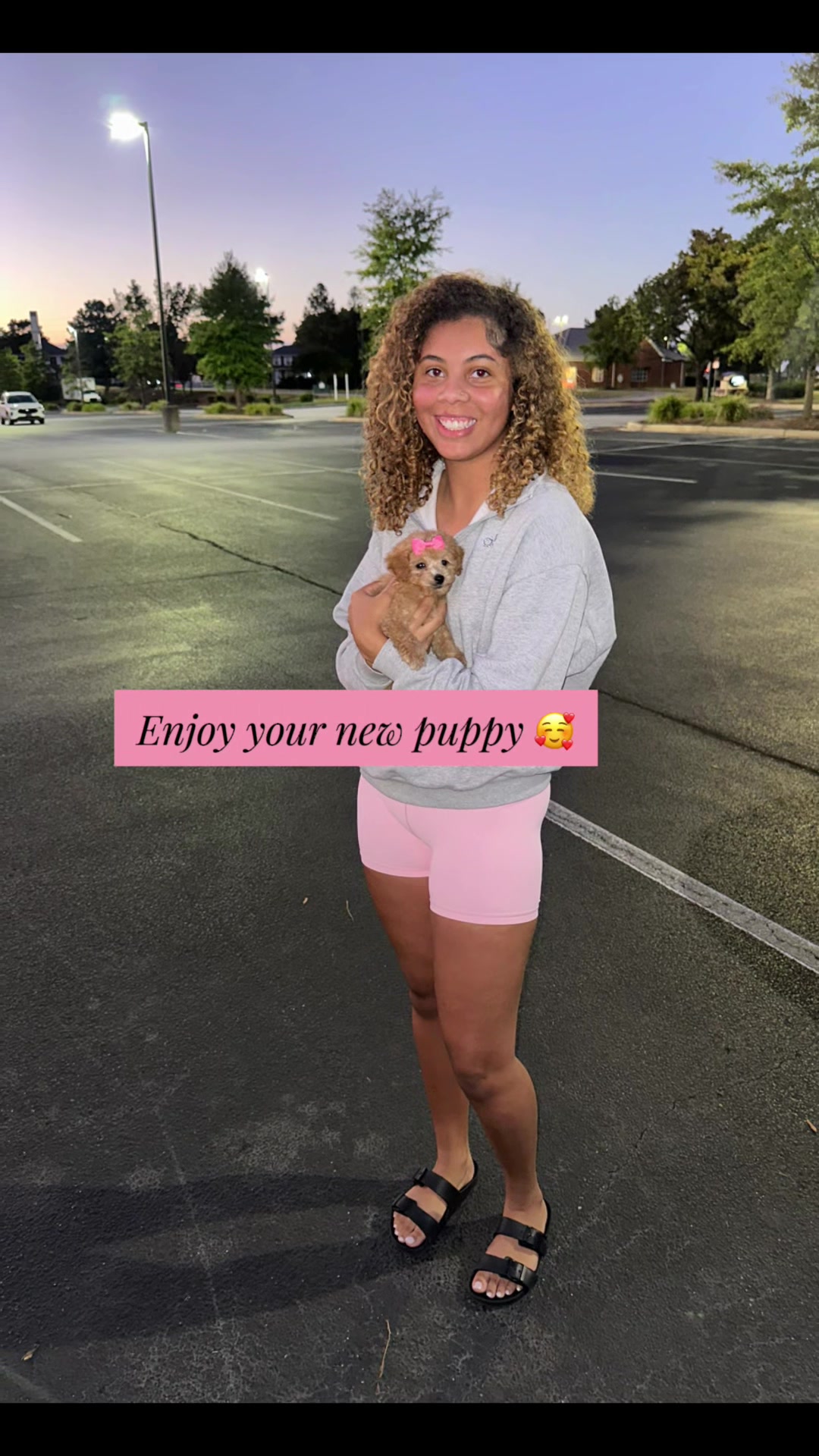 @Dog Lady