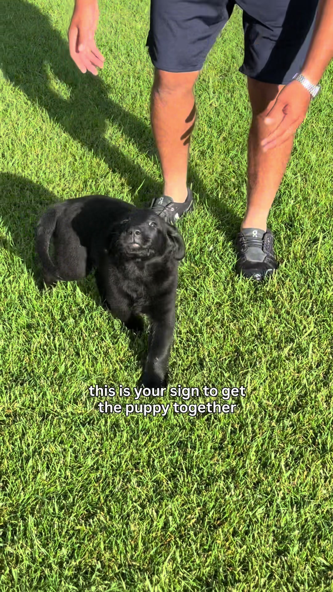 @Life with Luna🐾