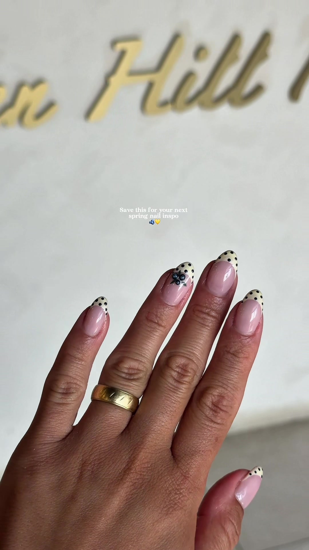 @Noelle 🦢