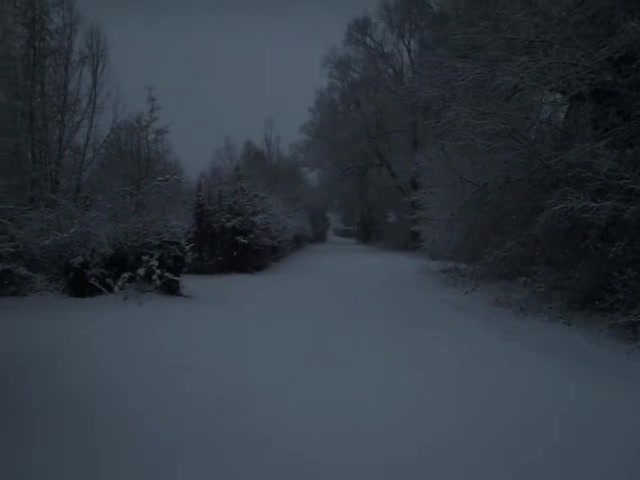 @maistør.