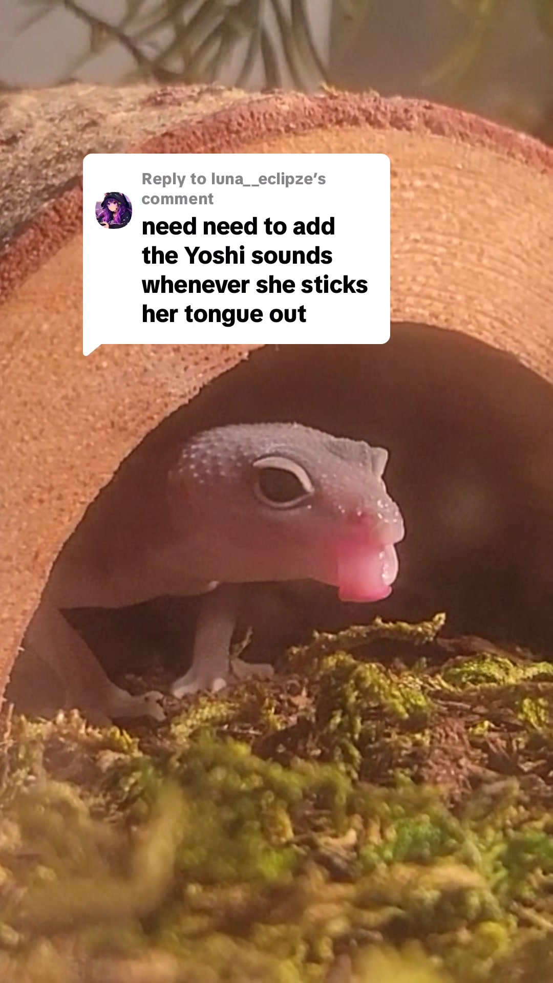 @RakkuGuy