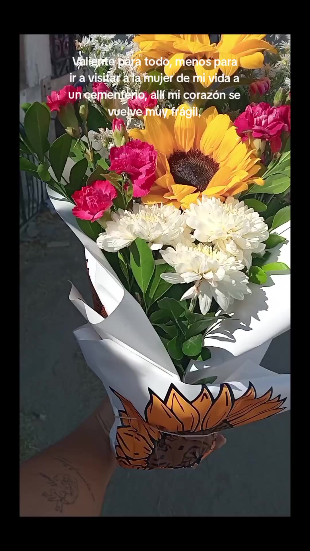 @Biii🌷