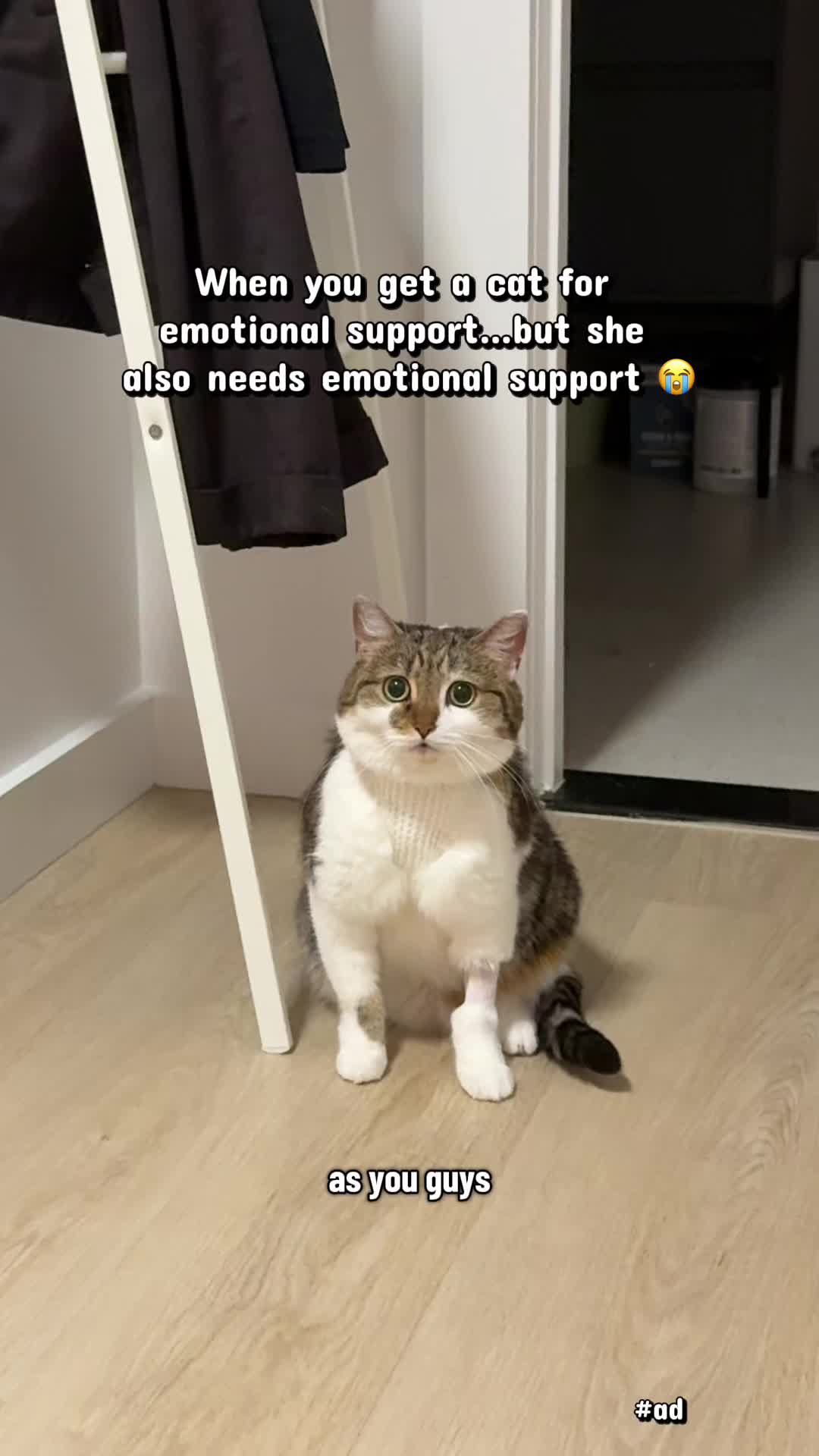 @Suki Purrs
