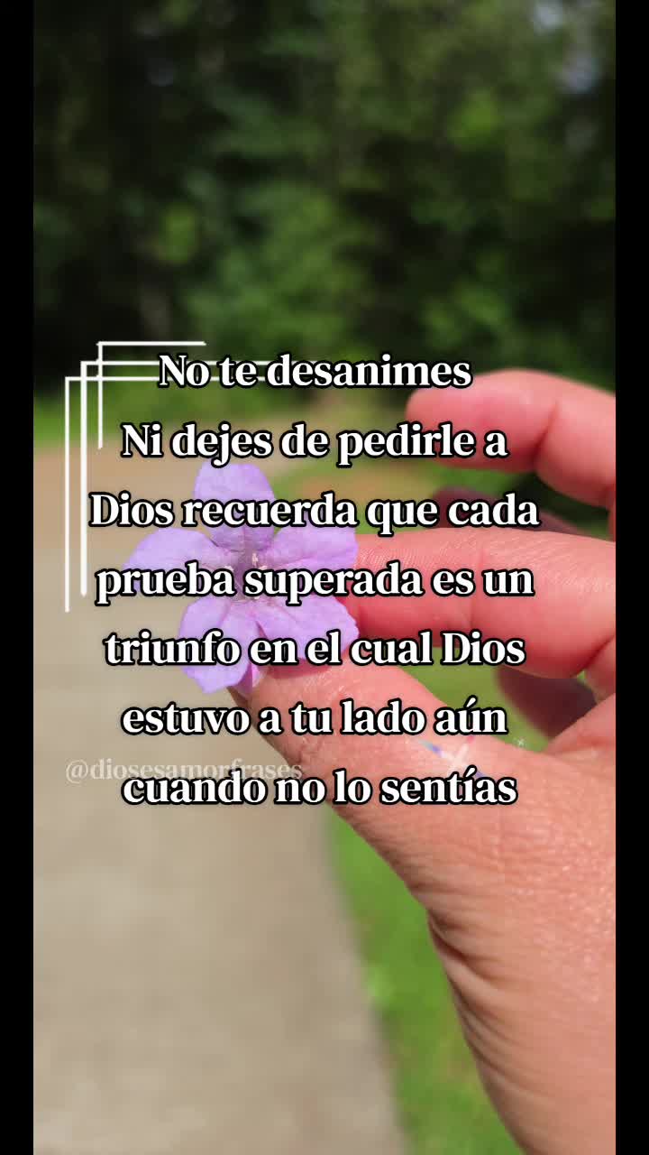 @doly.dfn