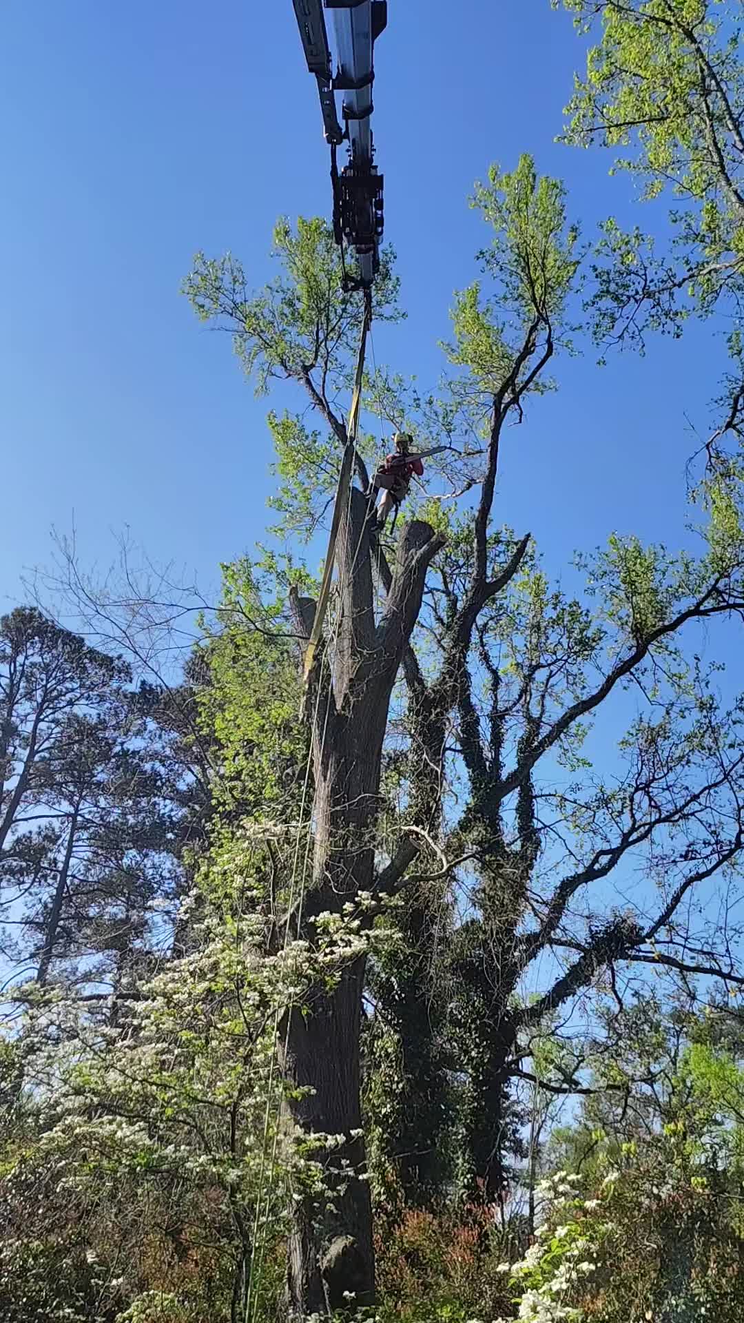 @R&G tree and landscaping