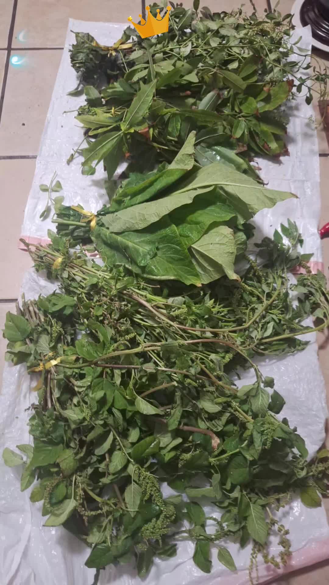 @Bot&aacute;nica Orishas