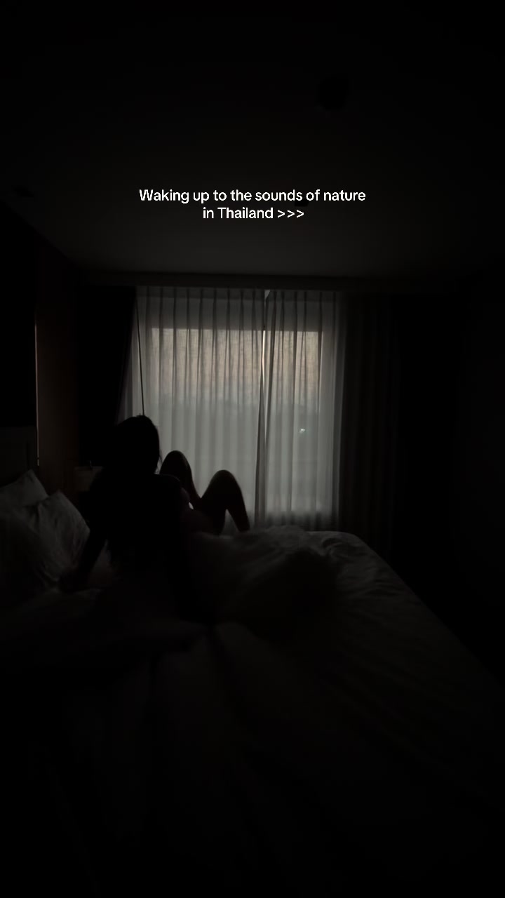 @noerr.ra
