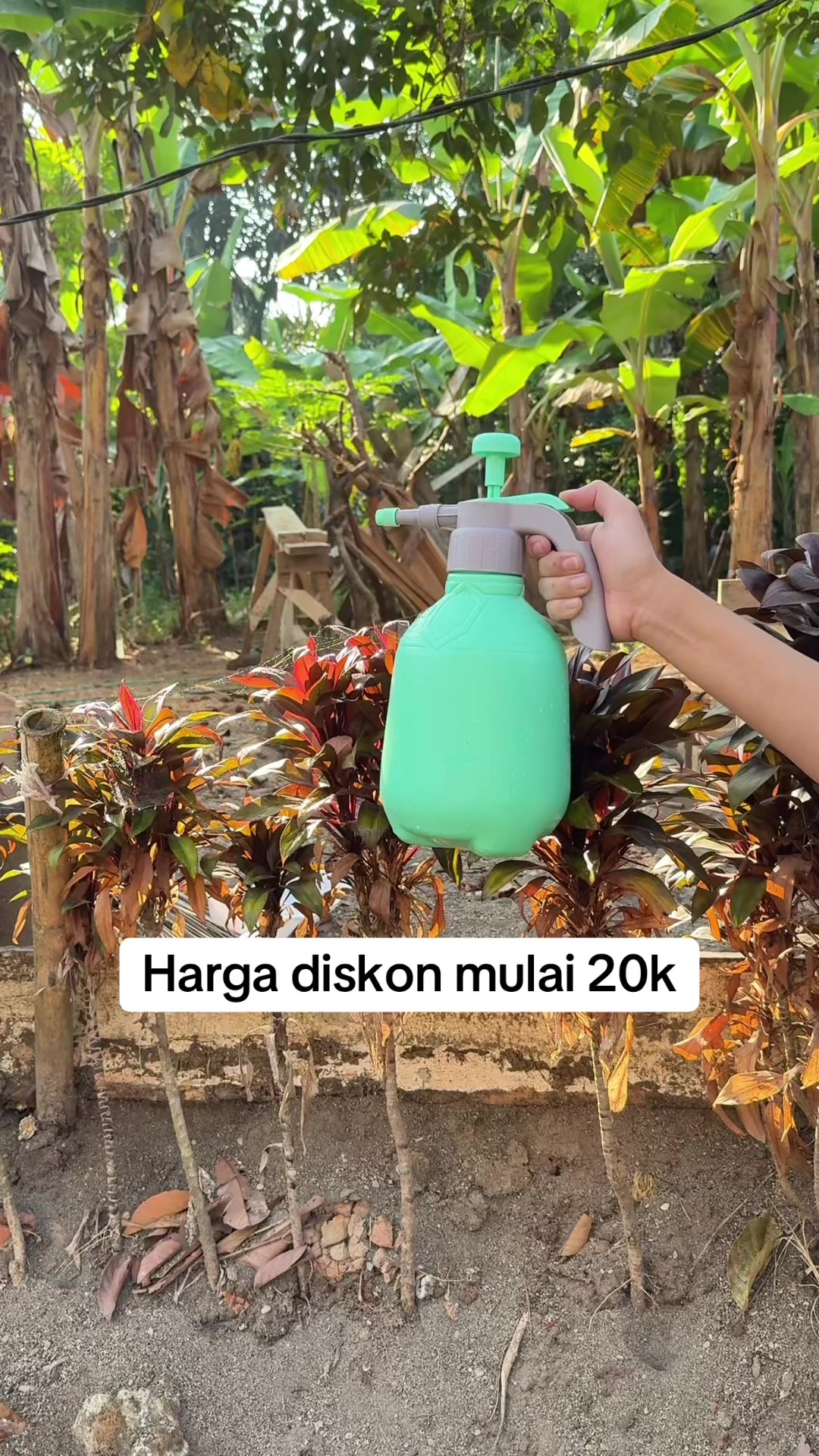 @Cepmuslih2711