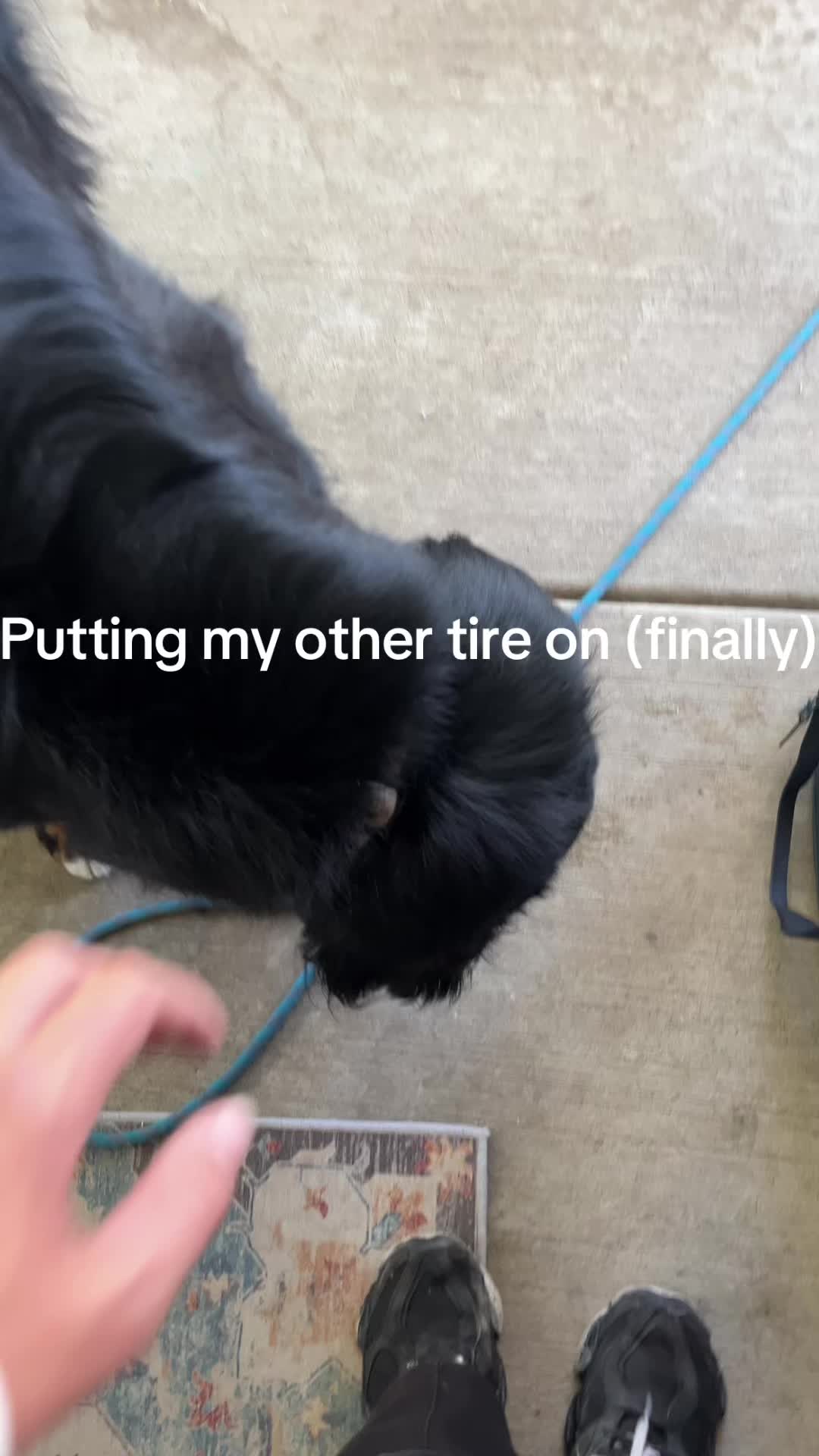 @fintree