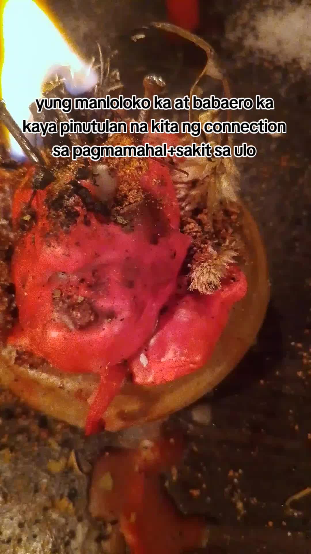 @Witchtok_gyle🧹🪄