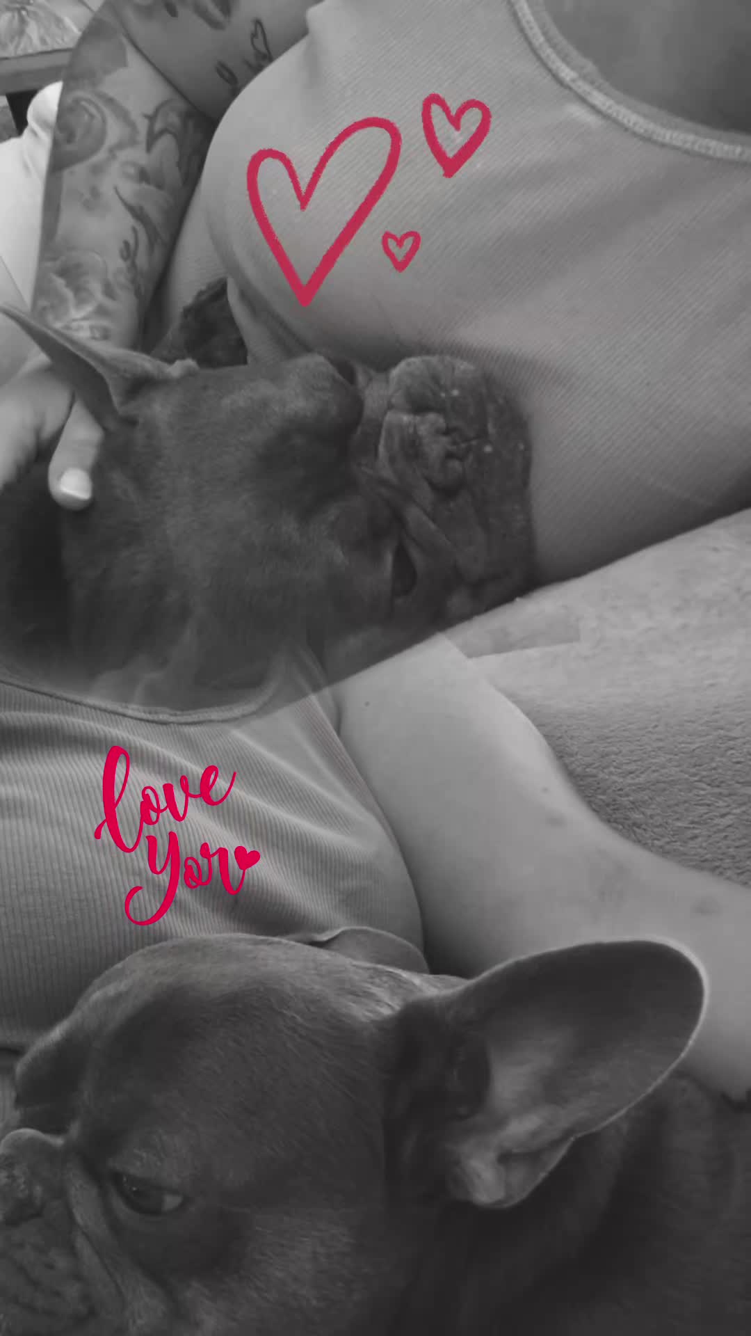 @🐕⭐Sa Rina⭐🐕