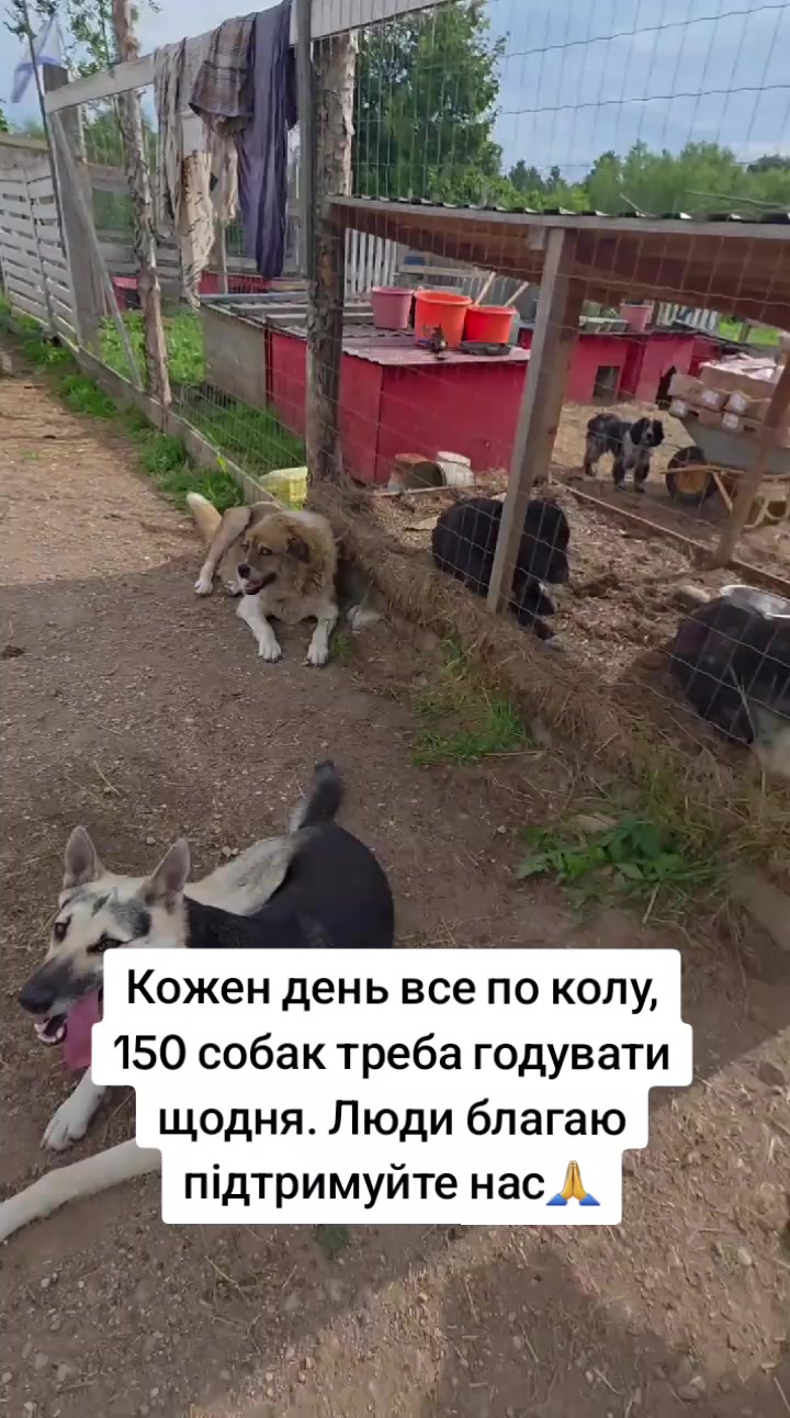 @tvarinkidobra