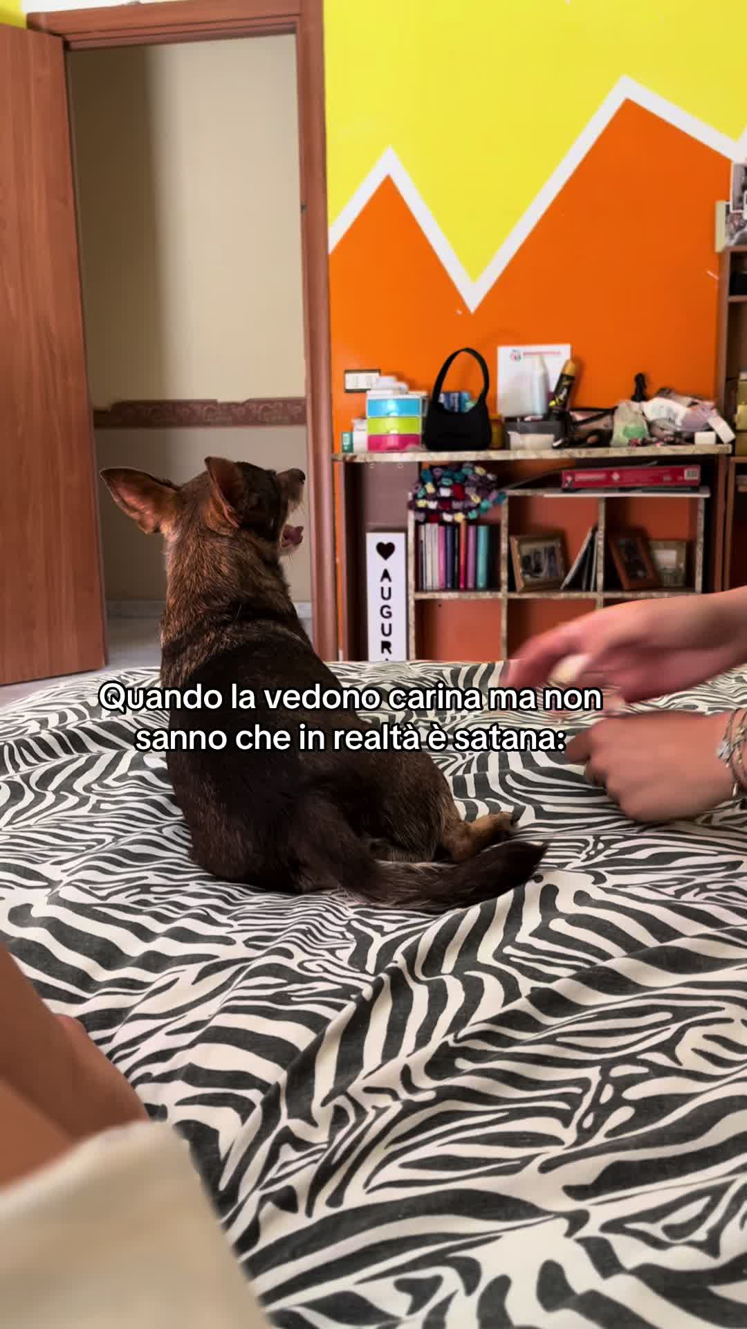 @Marisa