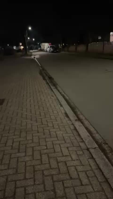 @d0318vr