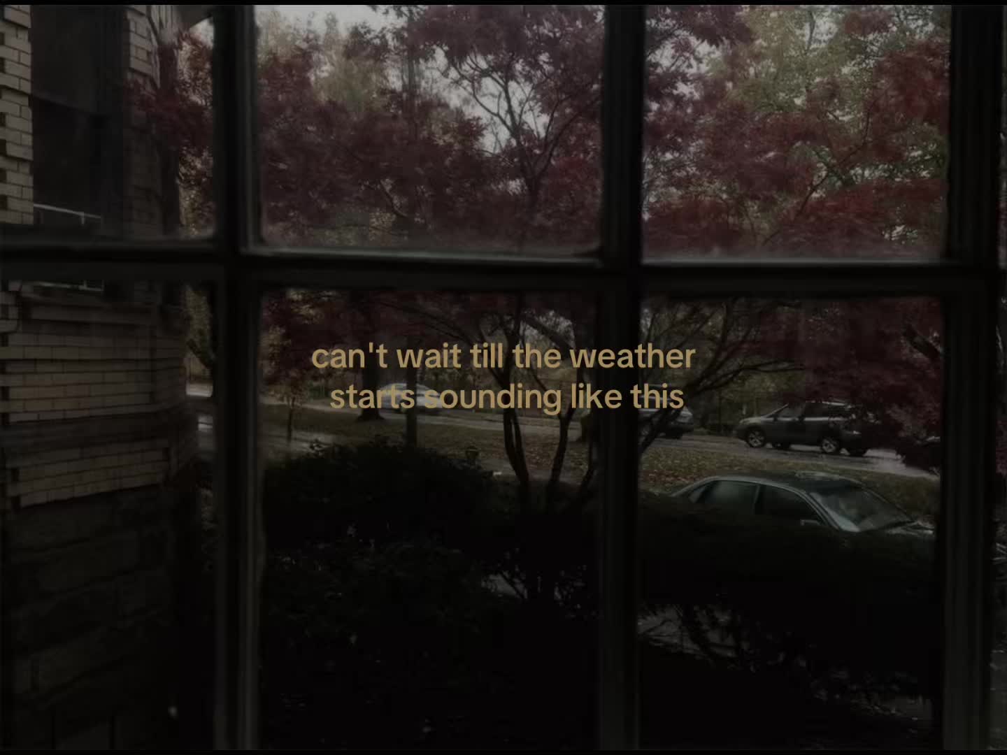 @feelingverycold