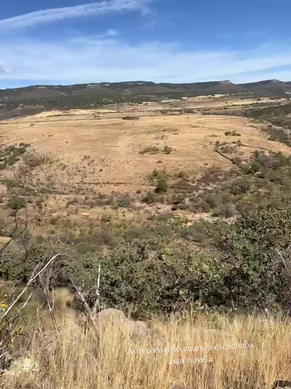 @El zurdo🌵🐴