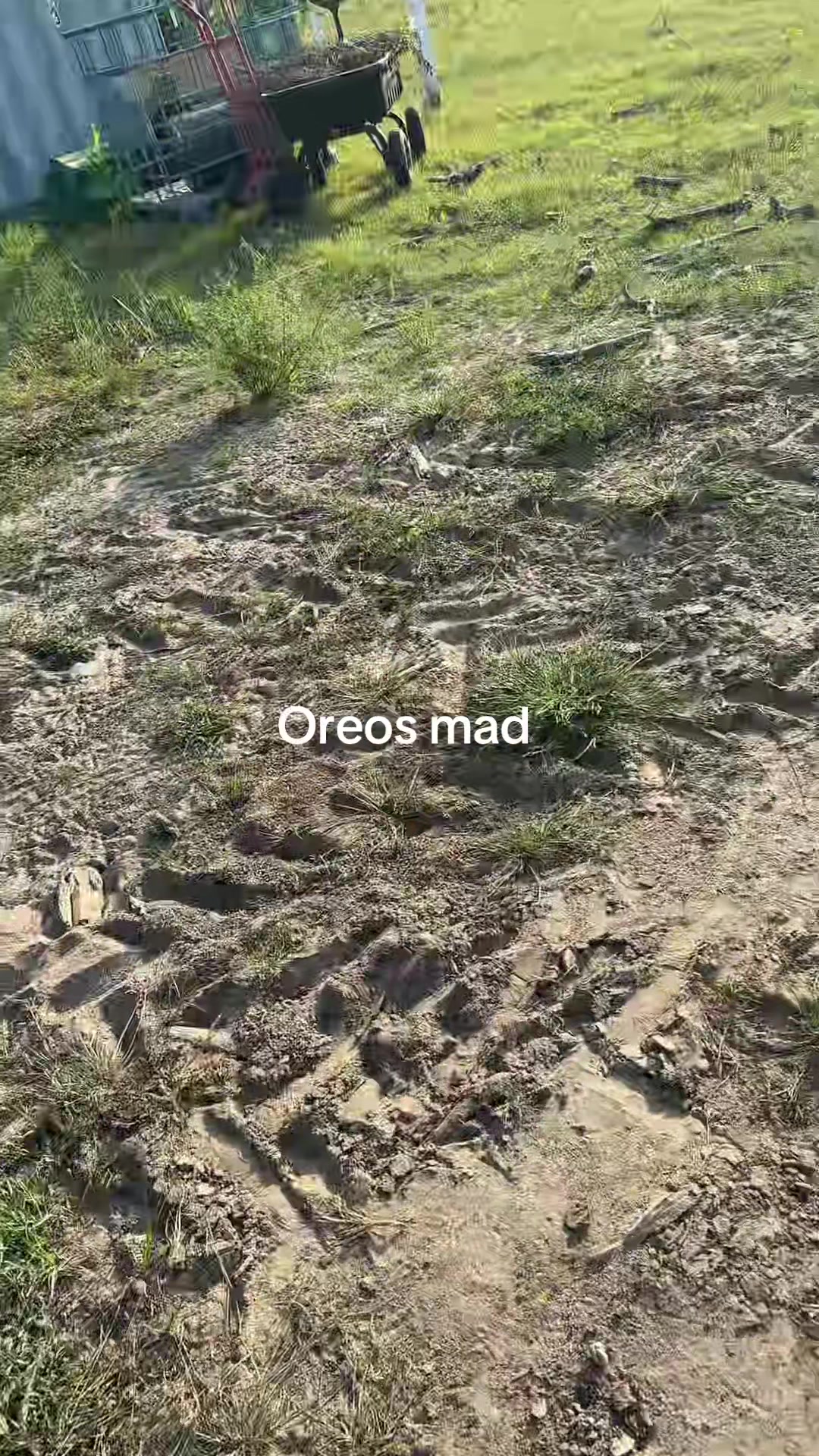 @farmgirl0719