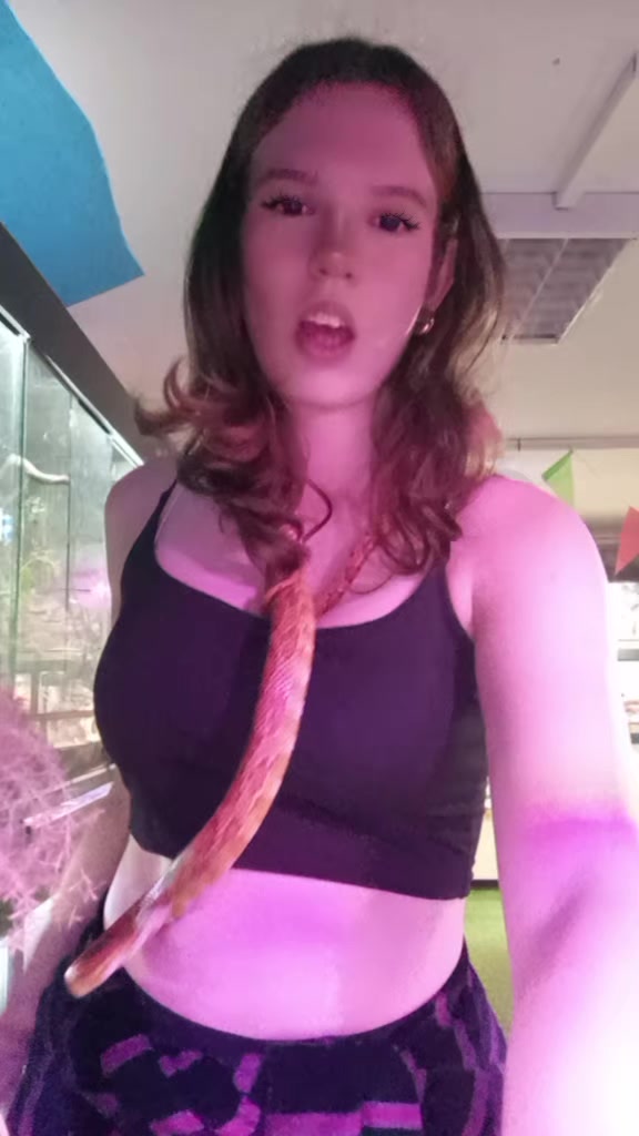 @🐍 𝙕𝙢𝙞𝙟𝙖 🐍