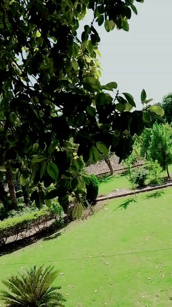 @zain Malik 👆🔥💯❤️🫂💓🥀👍
