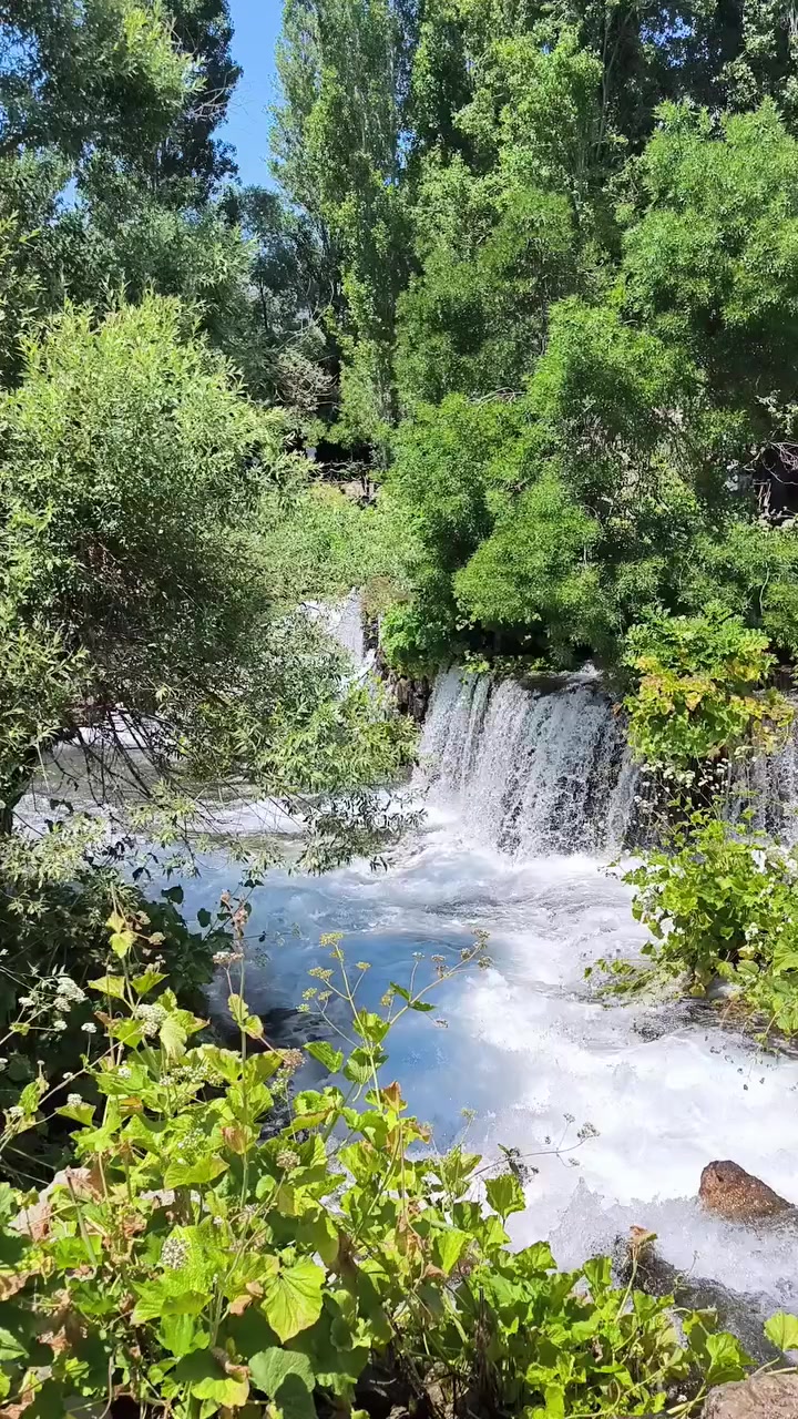 @Özen Ce