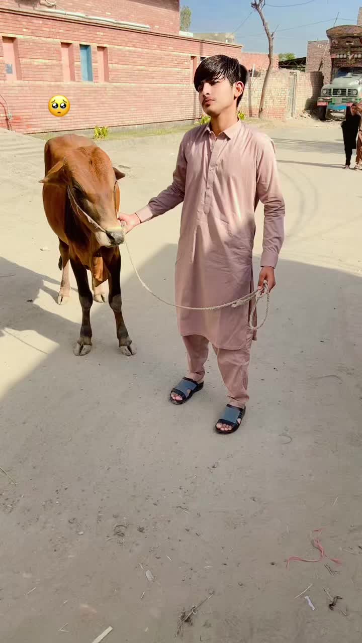 @☠️Abdullah Malik007 ☠️