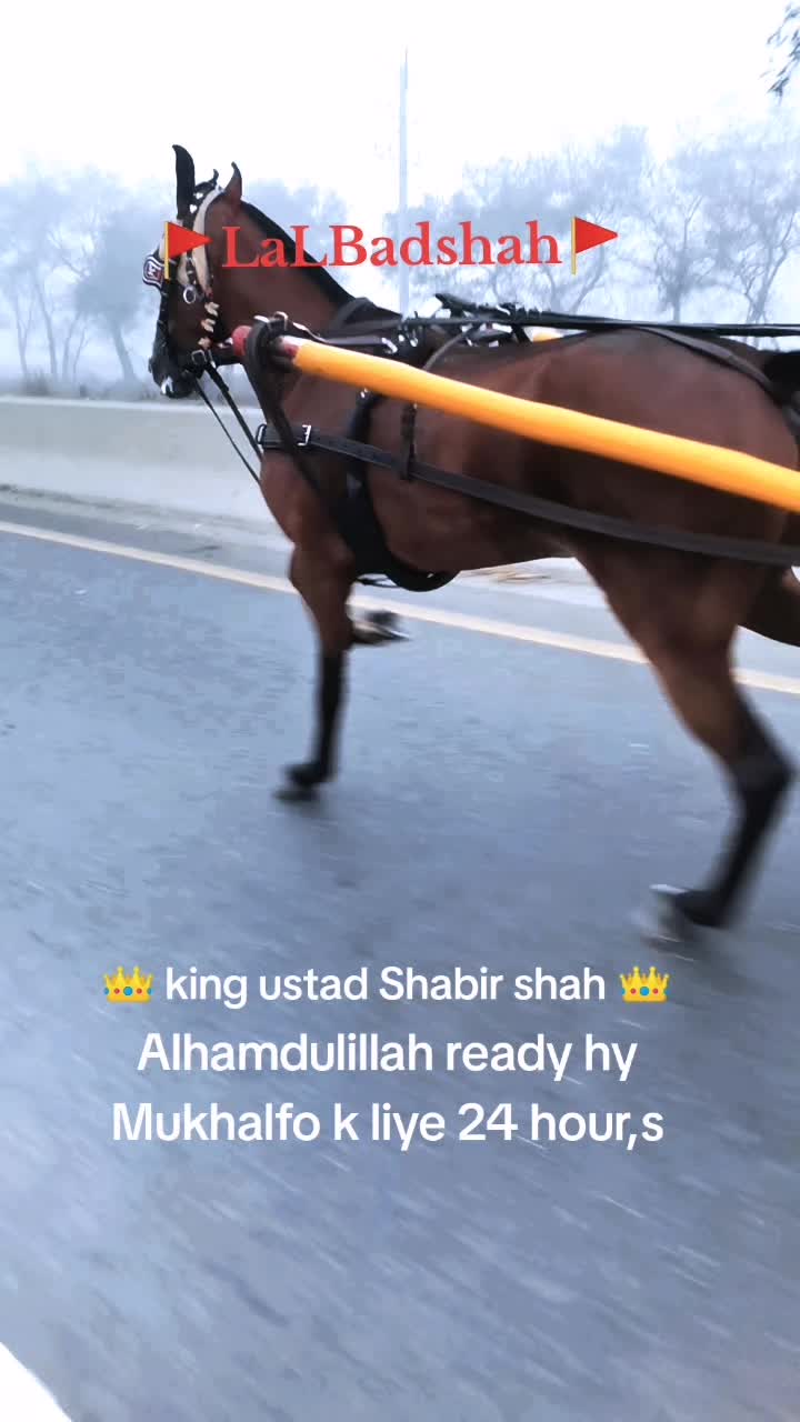@Badshah-Gujjar