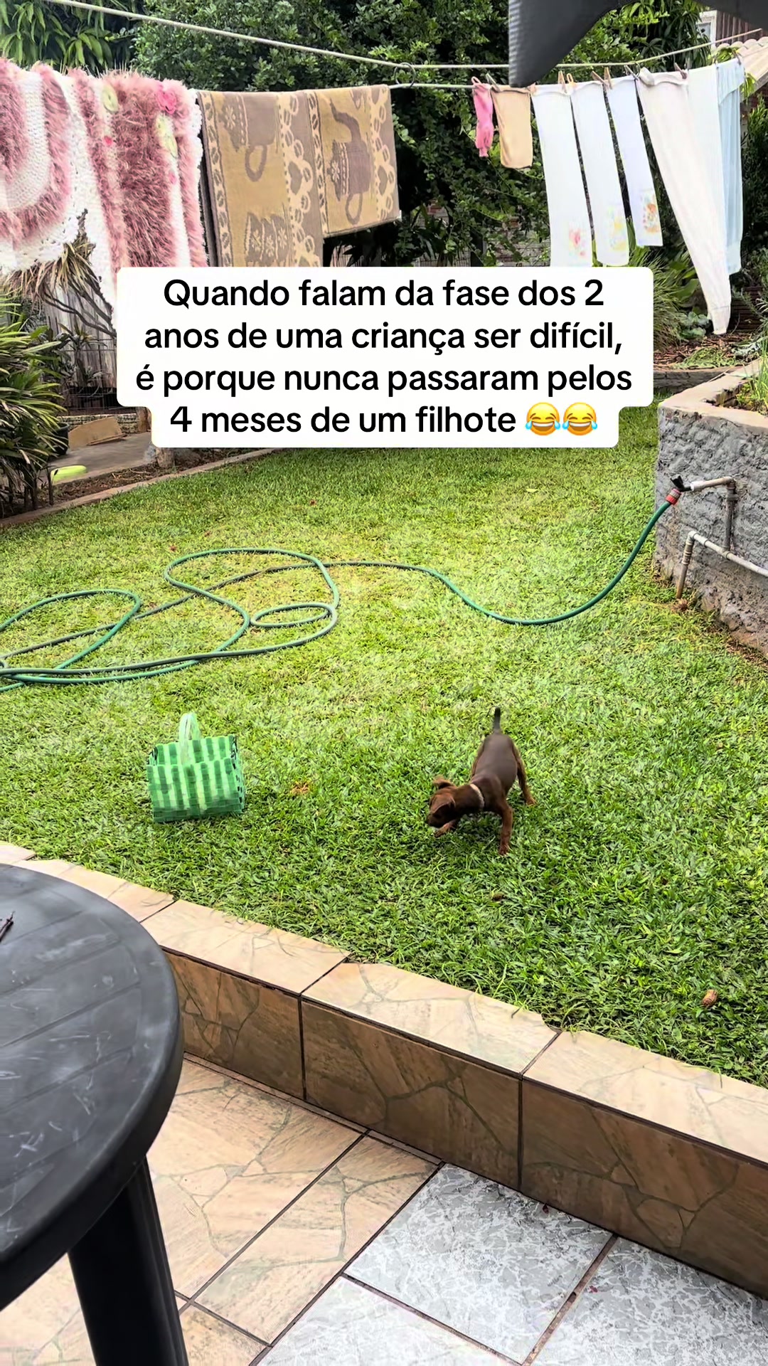 @Pacoserelepe