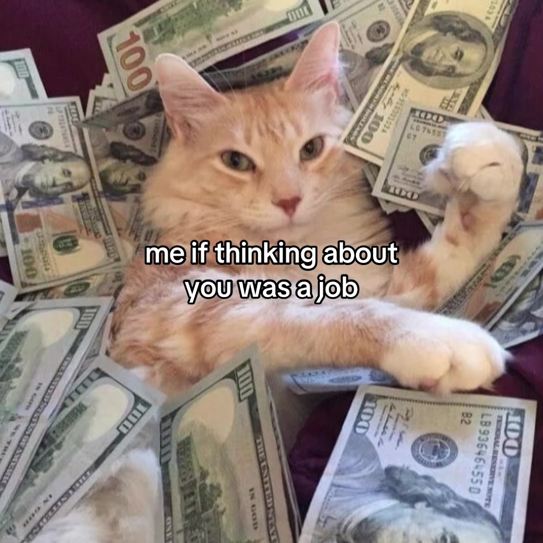 @Alice.cattok