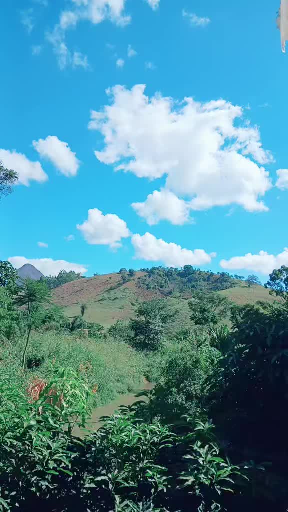 @mariaceliadasilva39