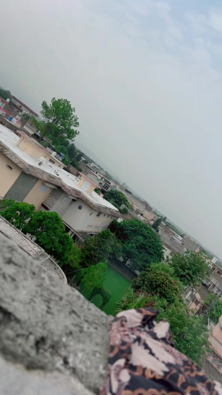 @🌷Haripur Ka Khalis Sona 🌺