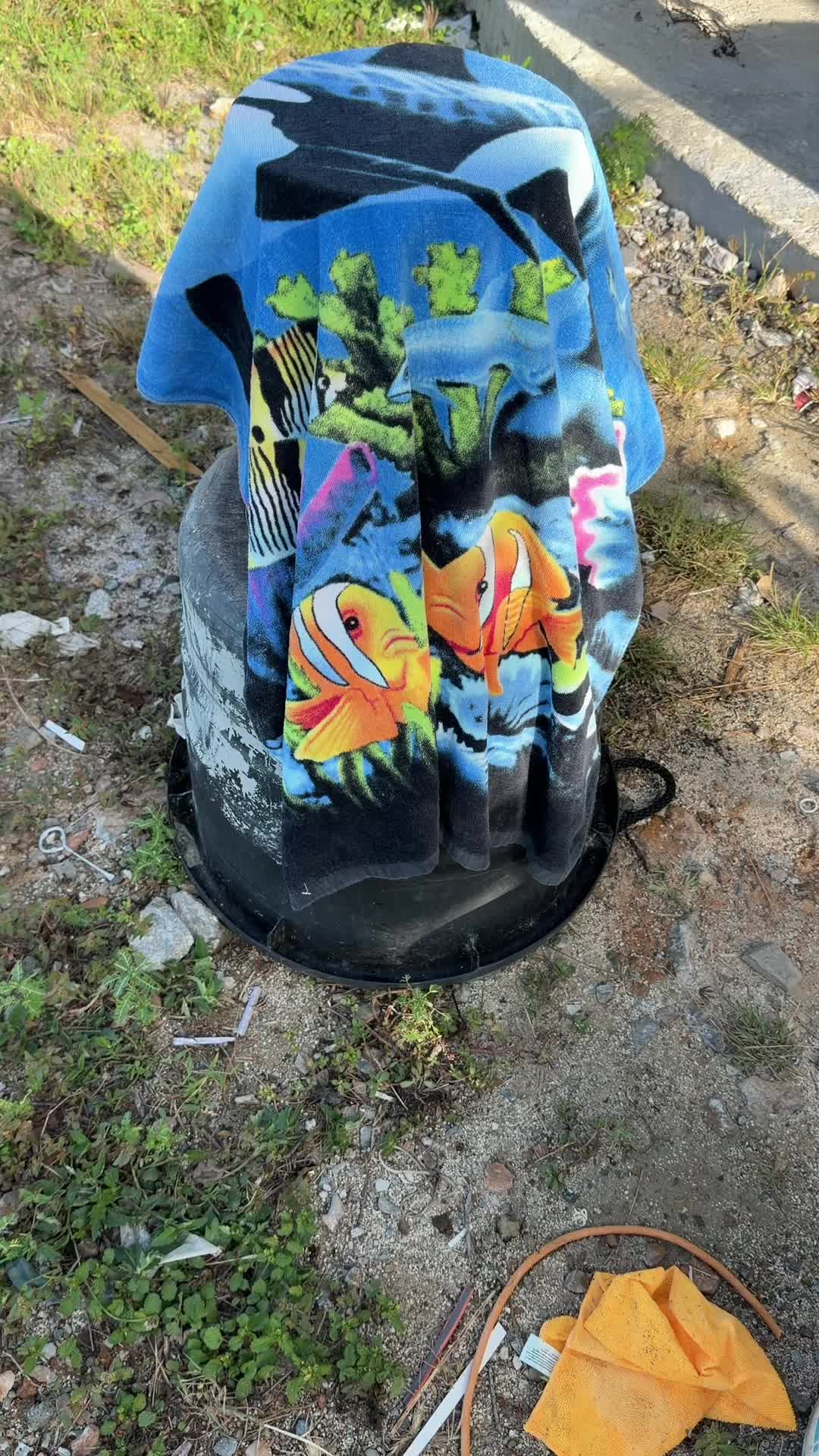 @EDMinc 🇻🇮