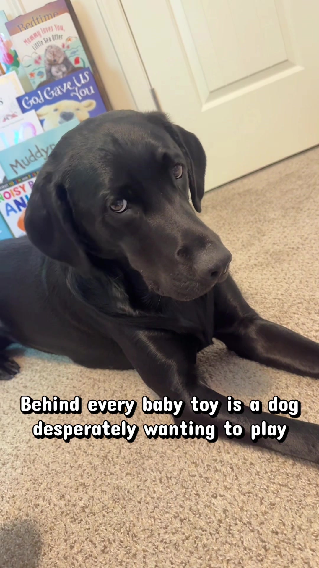 @ghostblacklab