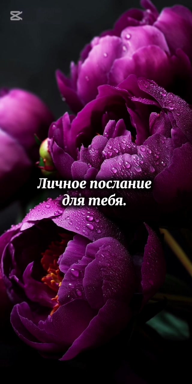 @Polli
