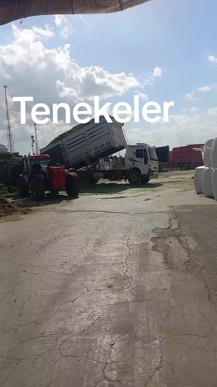 @Servet Kıydal.