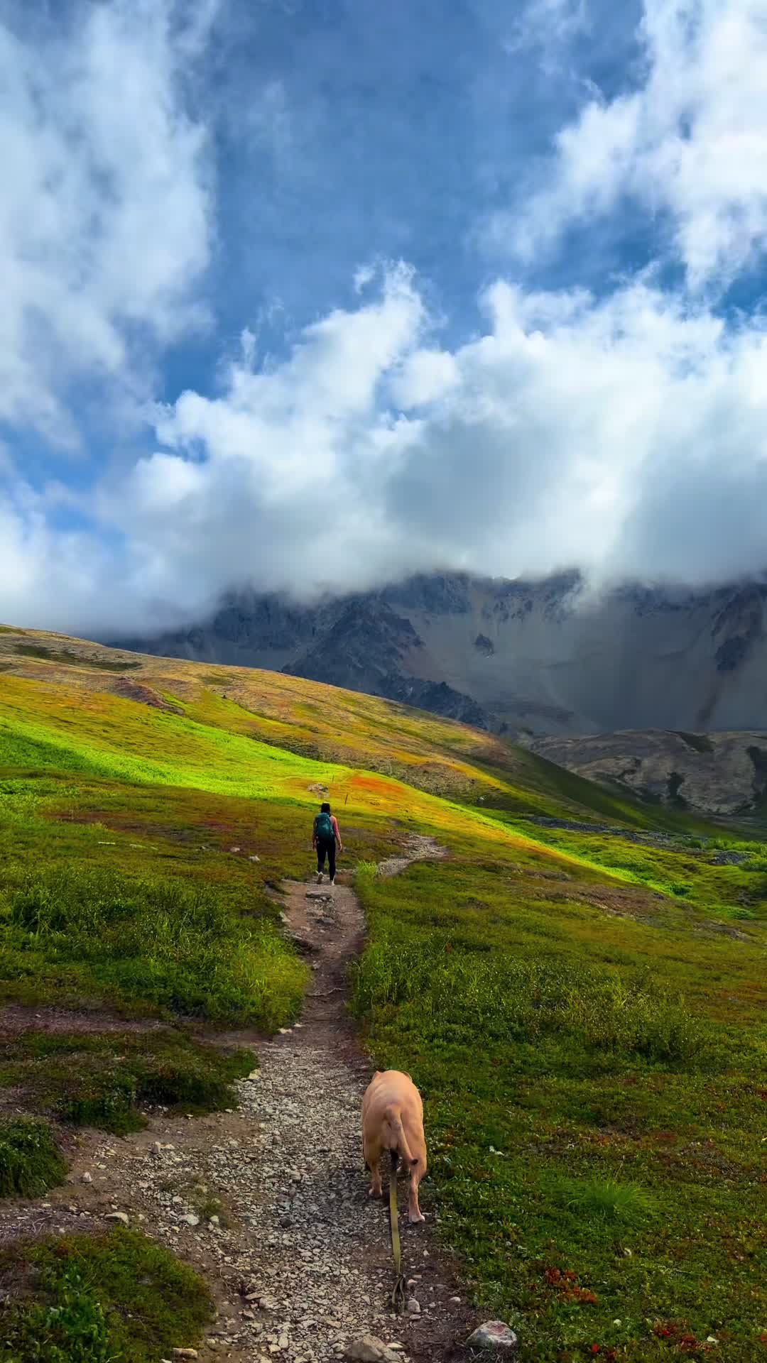 @Alaskatiktoks