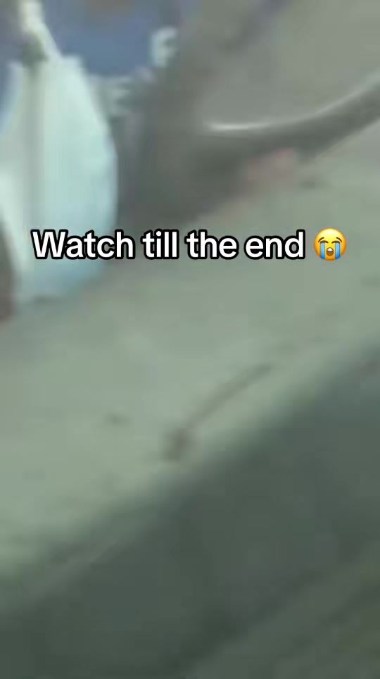 @Zee ๐