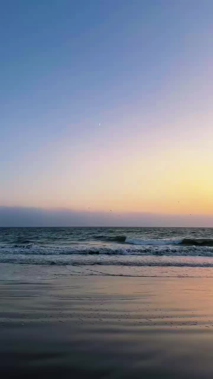 @☯︎︎♍︎☀︎︎☽𝚕𝚊𝚛𝚒𝚜𝚜𝚊