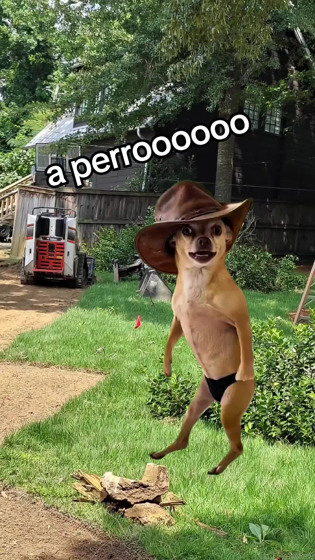 @cesararturoruiz74 Cesar