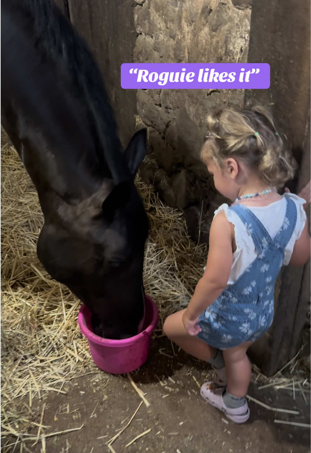 @Equestrian |🦄 Mom