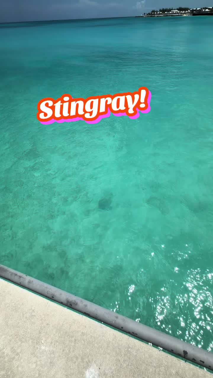 @CruisinWithCandace🛳️