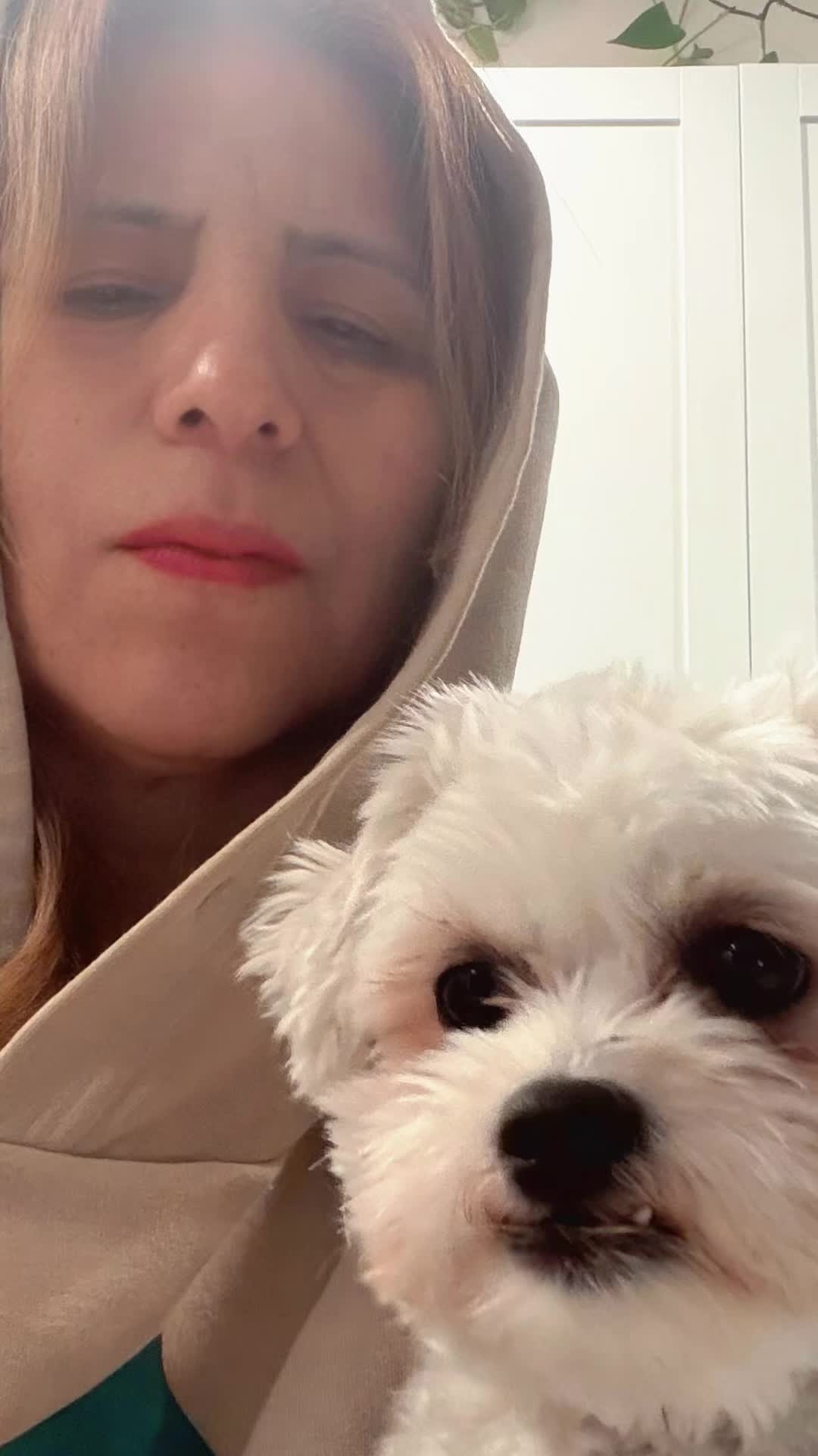 @Griseldarojas
