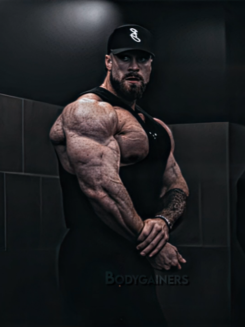 @Bodygainers