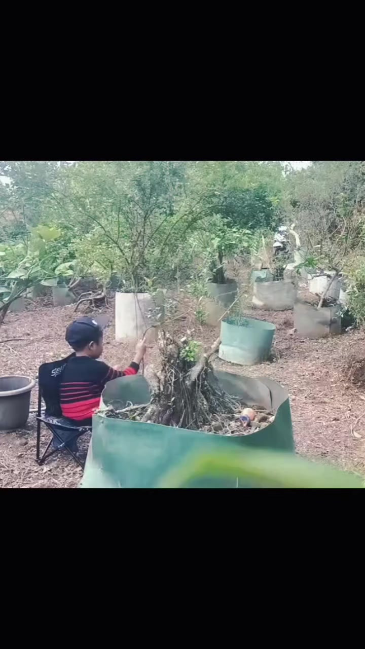 @KOMANDAN UK