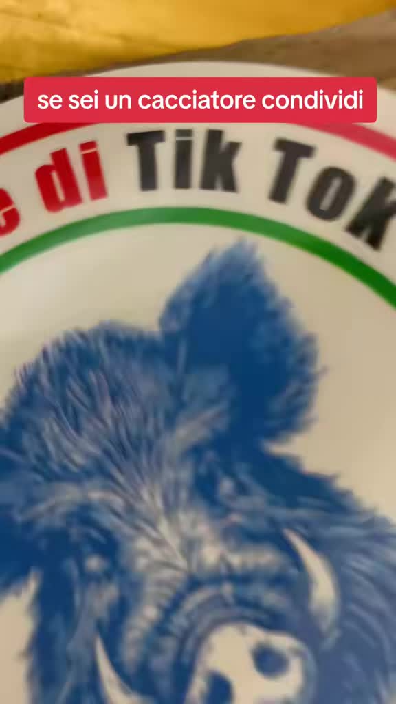 @il cinghiale di tiktok