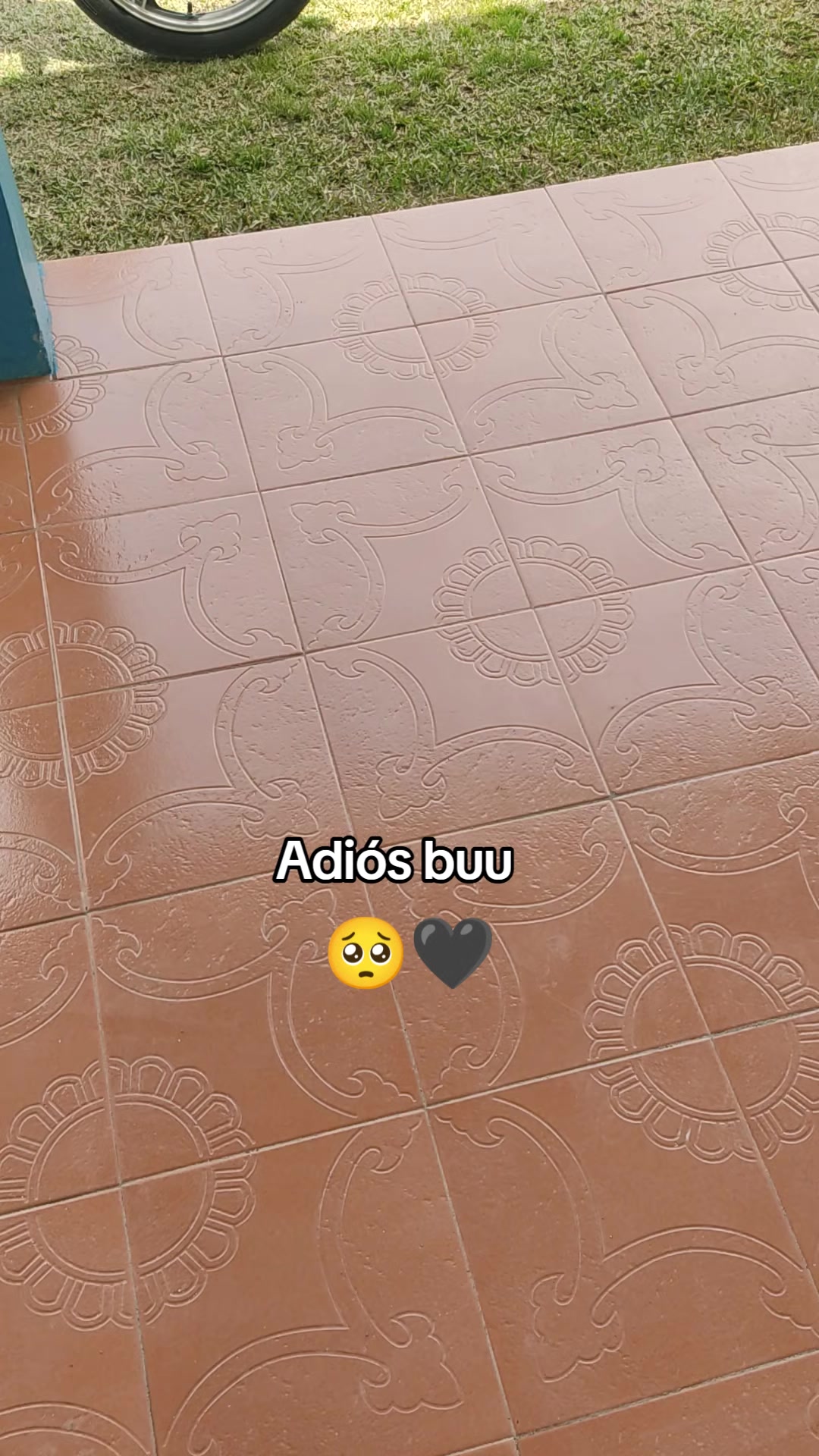 @David โ๏ธ๐๐ง