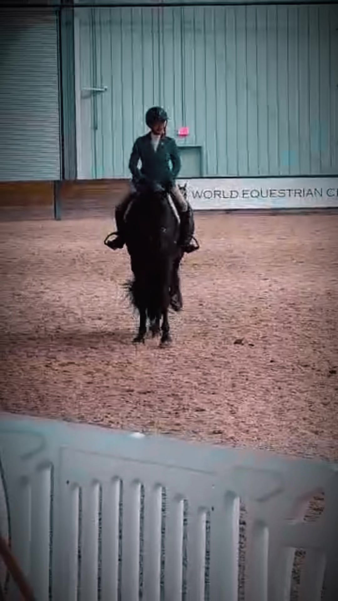 @Farley McLendon Show Horses