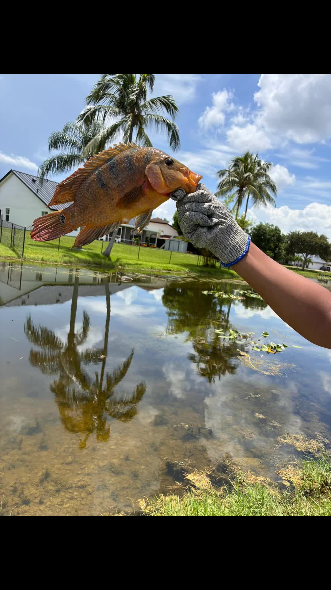 @Teamfishing
